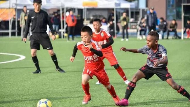 精品久久久久久无码中文字幕