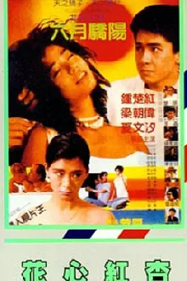 久久精品91视频