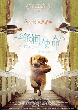 欧美福利视频网