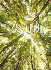 一区二区三区不卡视频
