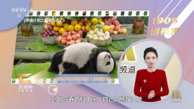 亚洲欧美中文字幕高清在线一